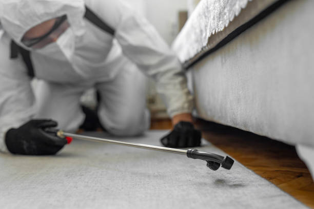 Professional Bed Bug Control technician working in Frisco City, AL